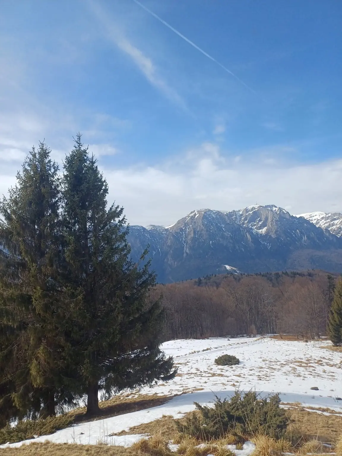 Panoramă de iarnă spre Munții Bucegi văzută de pe traseu