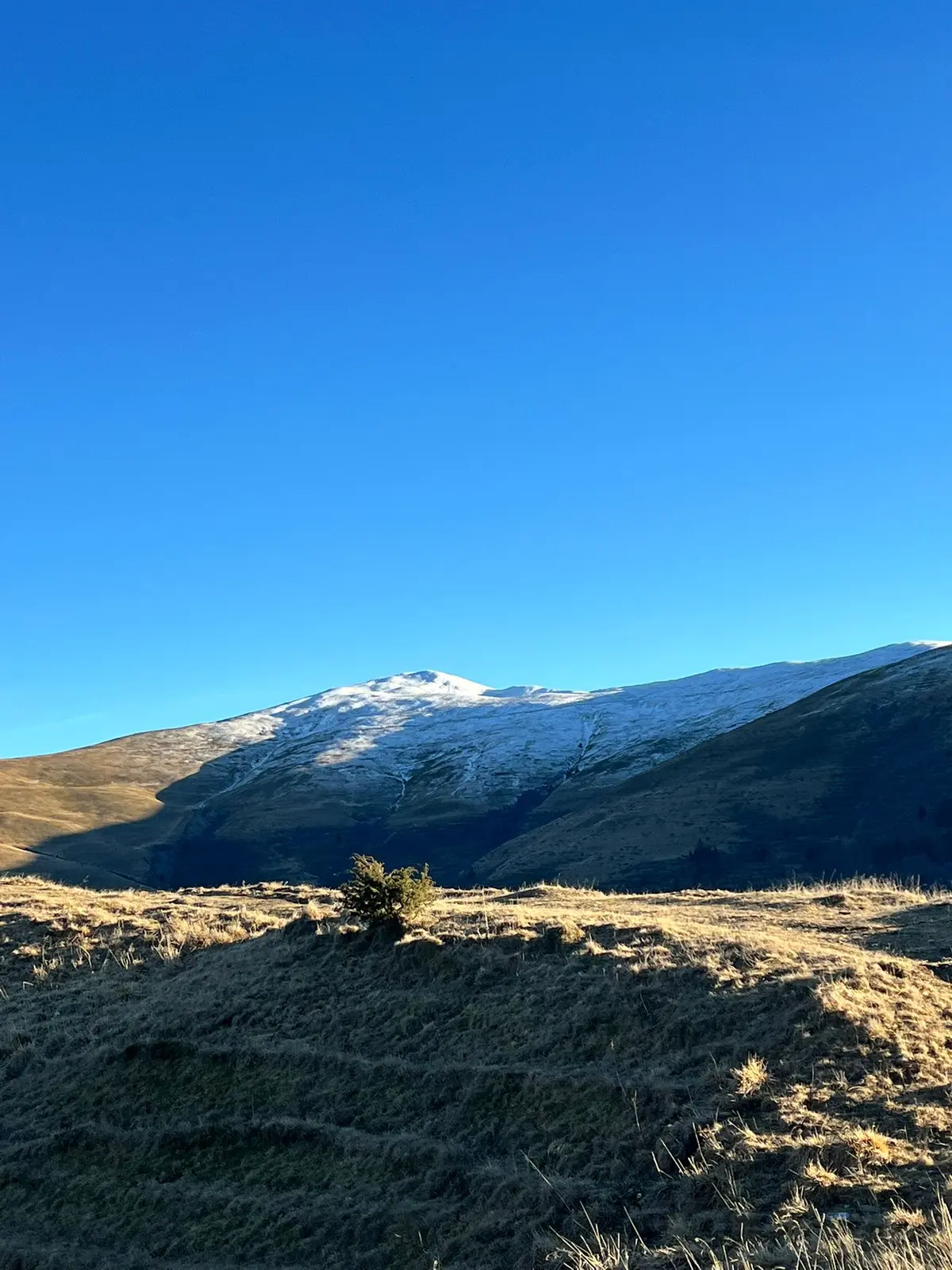 Panoramă de iarnă asupra Munților Baiului într-o zi senină